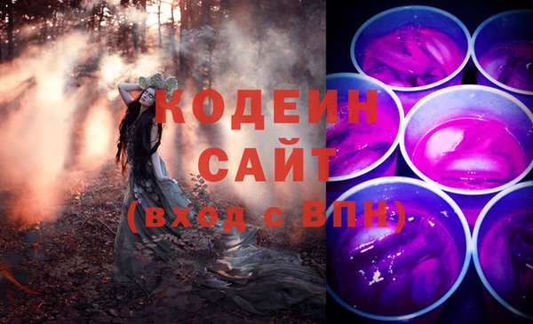 индика Алзамай