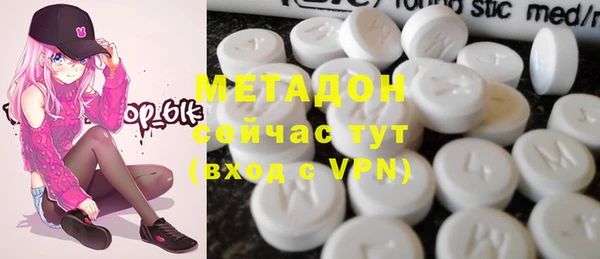индика Алзамай