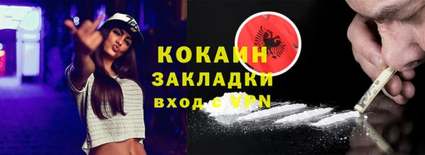 индика Алзамай