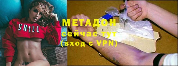 индика Алзамай