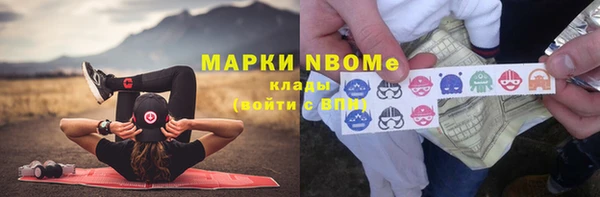 индика Алзамай