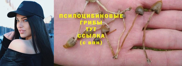 бутират Алексин