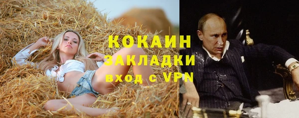 индика Алзамай