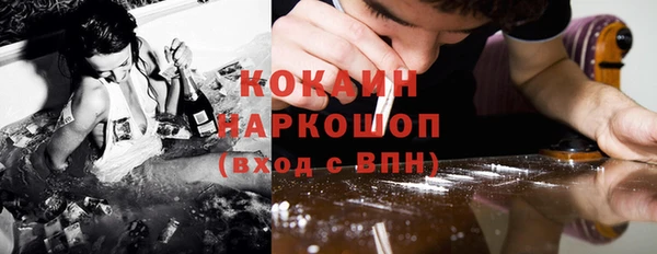 индика Алзамай